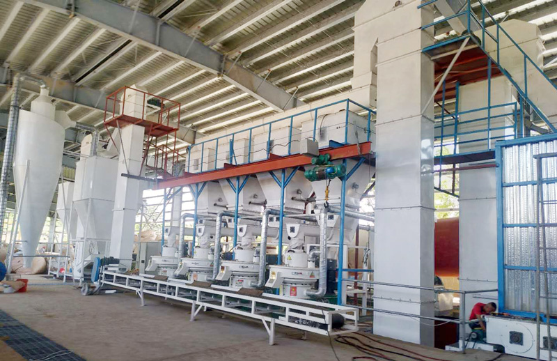 Philippines 8T/H wood pellet production line