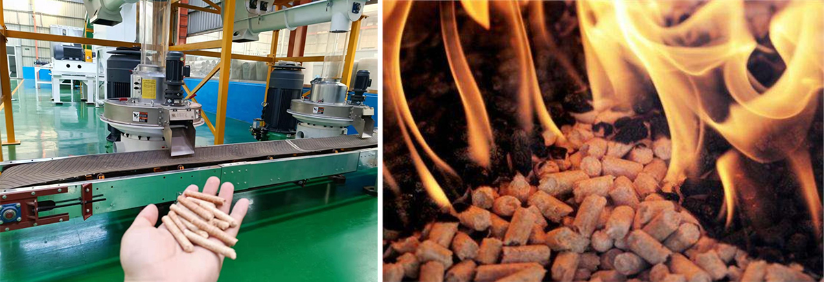 Biomass pellets energy becomes the "new favorite" in Europe