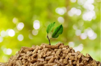 The Ultimate Guide to Biomass Wood Pellet Raw Materials and Their Applications