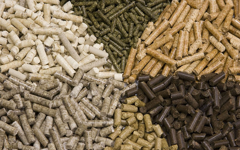 Regional Biomass Feedstock Variations and Their Impact on Global Pellet Fuel Industry Layout