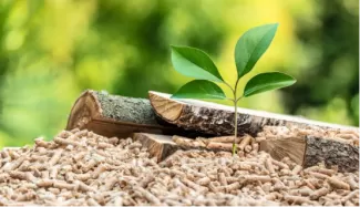 The Zero-Carbon Accelerator: How Biomass Pellets Fast-Track Corporate Carbon Neutrality