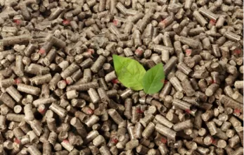 Beyond Boiler Heating: Innovative Applications of Biomass Pellets in Power Generation, Chemical Raw Materials, and Animal Husbandry