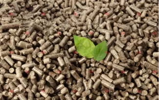 Beyond Boiler Heating: Innovative Applications of Biomass Pellets in Power Generation, Chemical Raw Materials, and Animal Husbandry