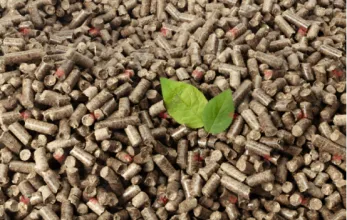 Beyond Boiler Heating: Innovative Applications of Biomass Pellets in Power Generation, Chemical Raw Materials, and Animal Husbandry