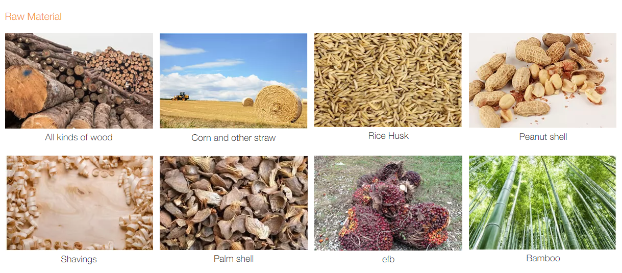 How to Choose a Reliable Pellet Machine: Complete Buying Guide 2026 How to Choose a Reliable Pellet Machine: Complete Buying Guide 2026