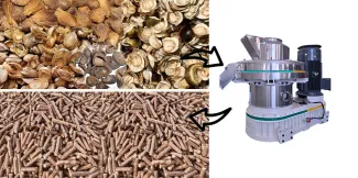 How to Make Quality Pellets from Palm Fiber | Bolida & Rotexmaster