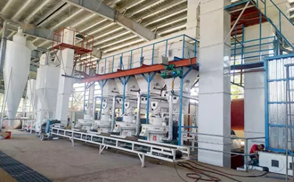 Philippines 8T/H wood pellet production line
