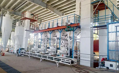 Philippines 8T/H wood pellet production line