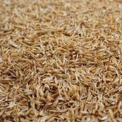 Rice husk