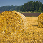 Straw