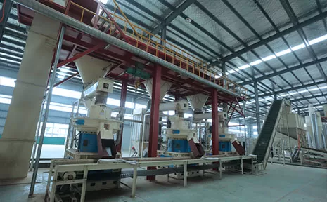 Jiangsu 12T/H Wood And Straw Pellet Production Line