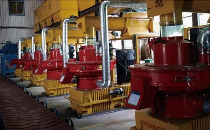 Taiwan 10t/h Wood Pellet Production Line