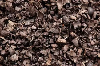 Exploring Local Indonesian Biomass Wood Pellet Raw Materials