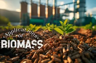 Exploring Local Thailand Biomass Wood Pellet Raw Materials