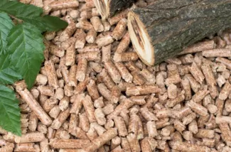 Exploration of Biomass Pellet Raw Materials in Vietnam