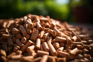 What Raw Materials Can Bolida Machinery’s Biomass Pellet Machines Process?